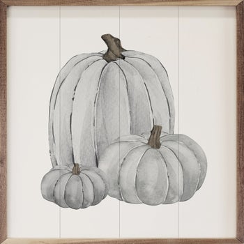 Pumpkin Trio White